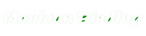 Mexican Birding logo