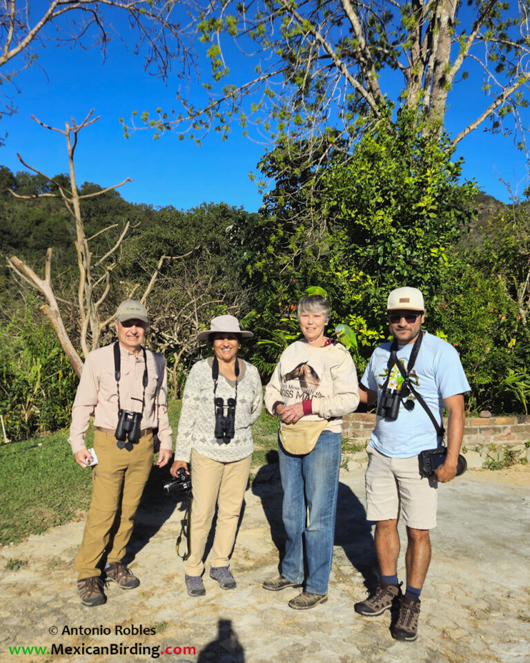 Rancho Primavera Tour