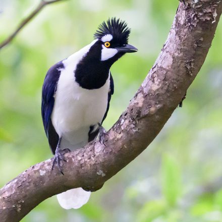 El Palmito, Concordia, Sinaloa, México / Nov-2023