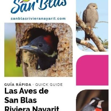 Publications